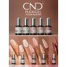 Perfectie Training CND Plexigel